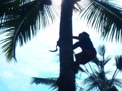 Un ami nous attrape une coco !!!