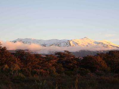 Tongariro Park
