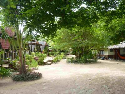 Nos bungalows