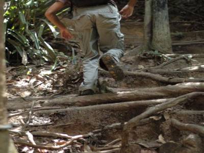 Parc National Taman Negara