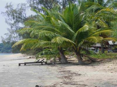 La plage quasi désertique!!!
