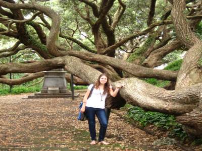 Parc dans Auckland - Parque en Auckland