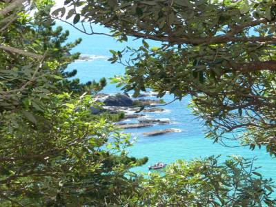 Waiheke Island