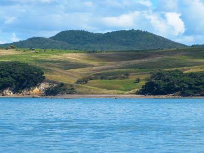 Waiheke Island