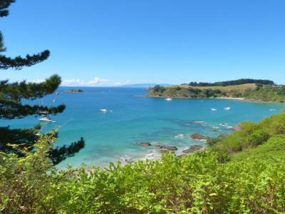 Waiheke Island