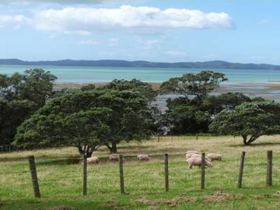 WE avec Kim aux alentours d'Auckland - Finde con Kim por los alrededores de Auckland