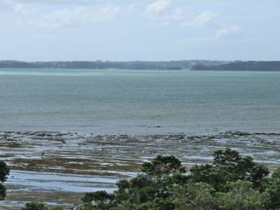 WE avec Kim aux alentours d'Auckland - Finde con Kim por los alrededores de Auckland