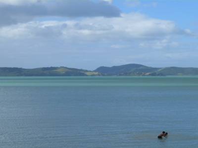 WE avec Kim aux alentours d'Auckland - Finde con Kim por los alrededores de Auckland