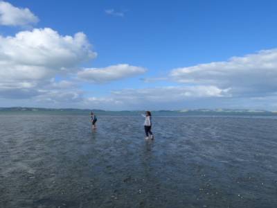 WE avec Kim aux alentours d'Auckland - Finde con Kim por los alrededores de Auckland