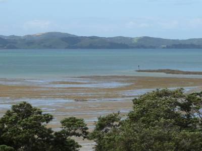 WE avec Kim aux alentours d'Auckland - Finde con Kim por los alrededores de Auckland