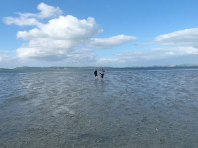 WE avec Kim aux alentours d'Auckland - Finde con Kim por los alrededores de Auckland