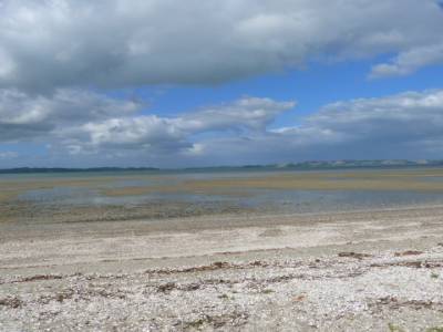 WE avec Kim aux alentours d'Auckland - Finde con Kim por los alrededores de Auckland