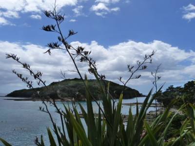 Goat Island