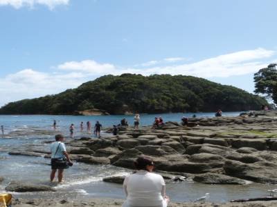 Goat Island