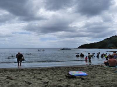 Goat Island