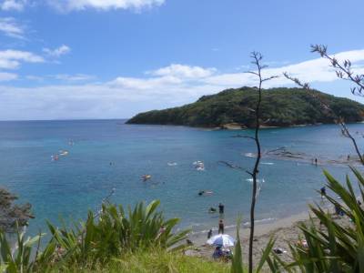 Goat Island
