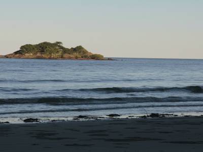 Cape Tribulation