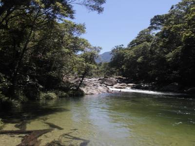 Cape Tribulation
