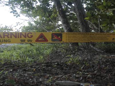 Cape Tribulation