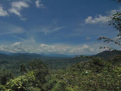 Taman Negara