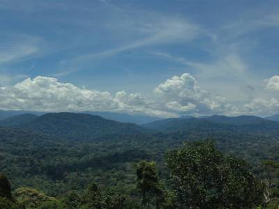 Taman Negara