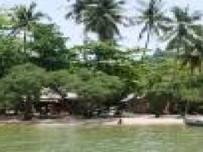 L'ile aux lapins