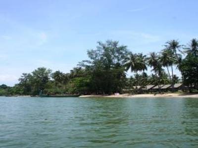 L'ile aux lapins