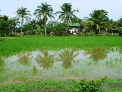 Paysages entre Kep et Kampot