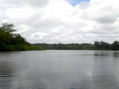 Sinnamary
