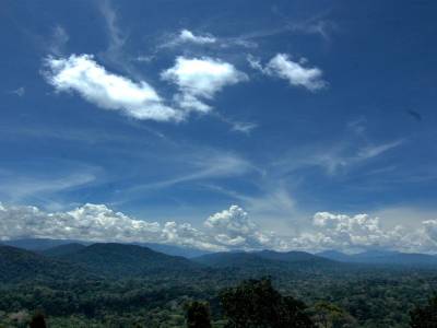 Taman Negara