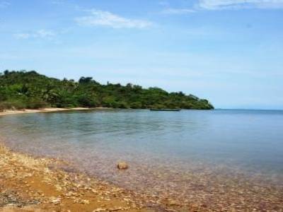 L'ile aux lapins
