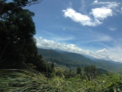 Taman Negara