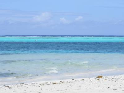 Tobago Cays