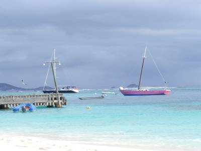 Palm Island