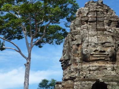 Ta Prohm - Tomb Raider Temple