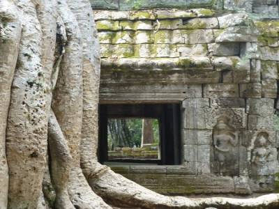Ta Prohm - Tomb Raider Temple