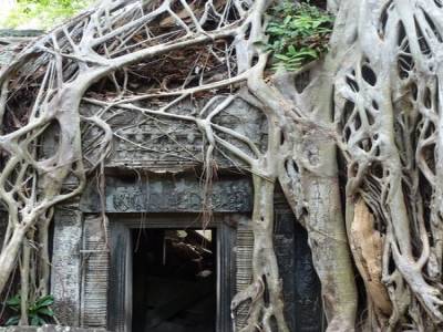 Ta Prohm - Tomb Raider Temple