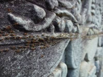 Bayon