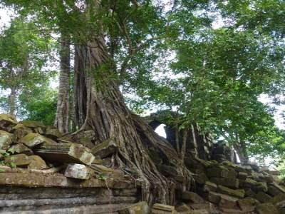 Bang Mealea