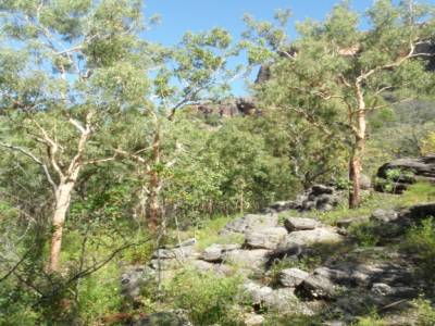 Kakadu national park