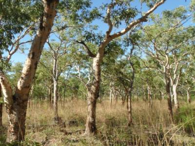 Kakadu national park