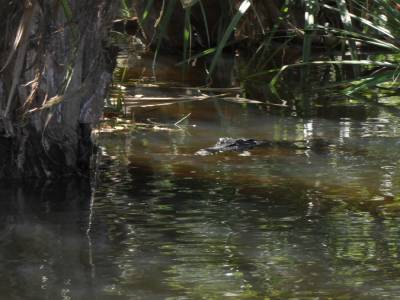 Kakadu national park