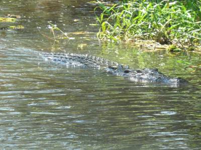 Kakadu national park