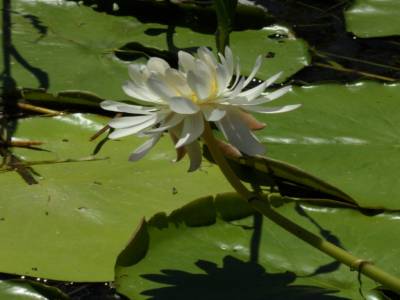 Kakadu national park