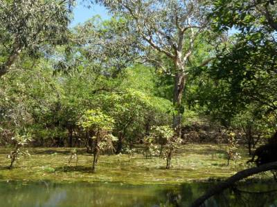 Kakadu national park