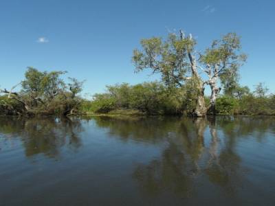 Kakadu national park
