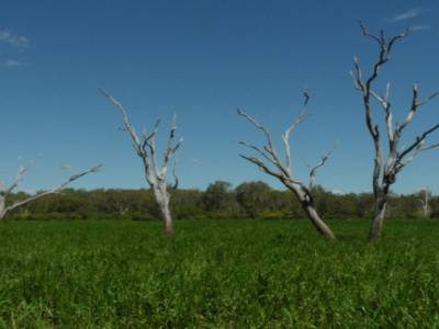 Kakadu national park