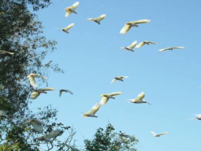 Kakadu national park