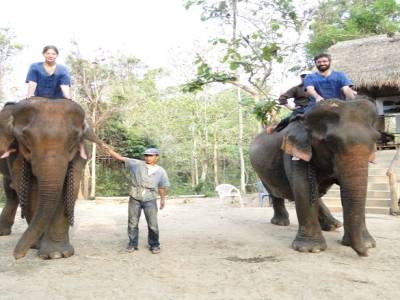 Titi, Van, leurs elephants et leurs cornacs