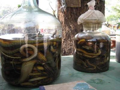 boisson bizarre dans les rues de luang prabang